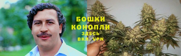 ешки Богданович