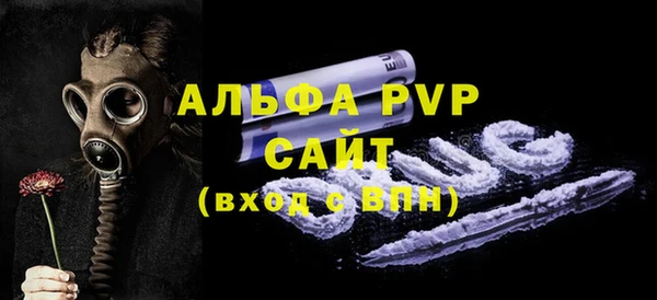 ешки Богданович