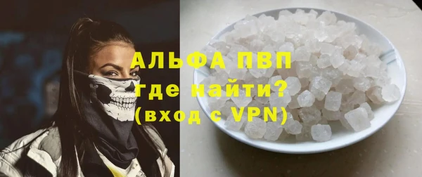 ешки Богданович
