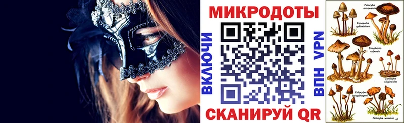 Псилоцибиновые грибы Cubensis  Беломорск 
